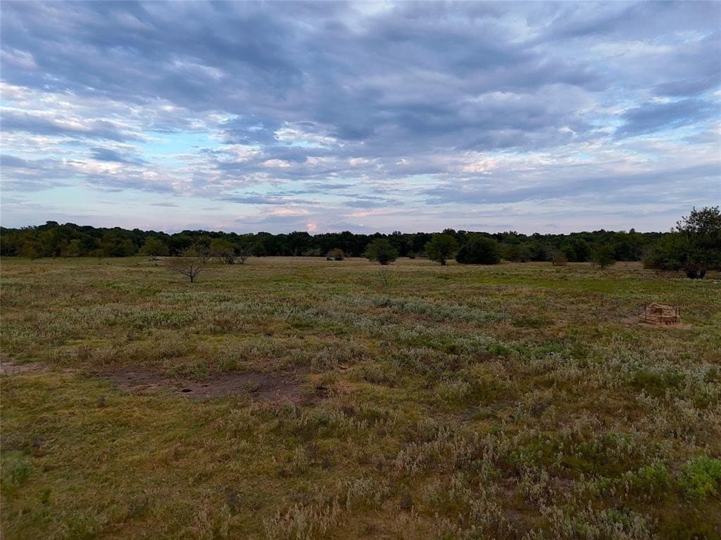 44 acres in Fannin County gallery image 2