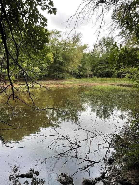 44 acres in Fannin County gallery image 3