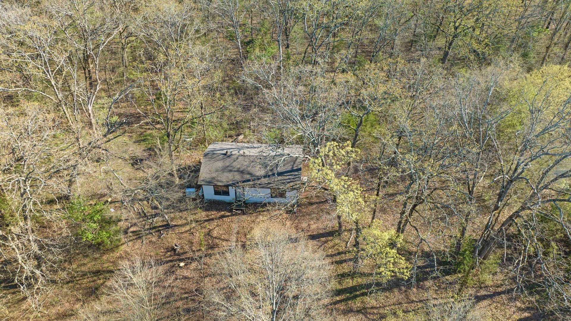 30.35 acres in Lamar County - photo 15