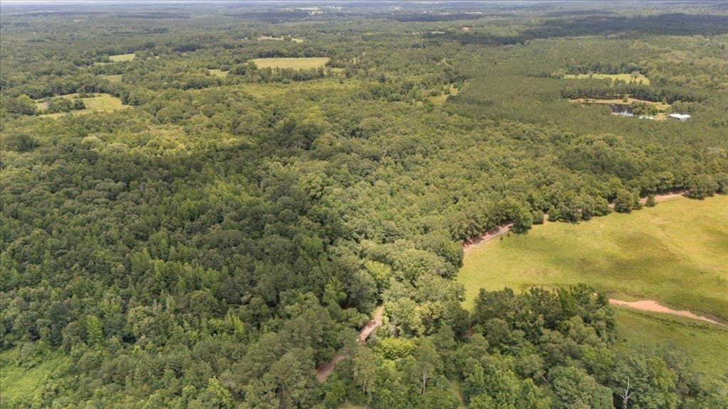 38.11 acres in Texas County gallery image 4