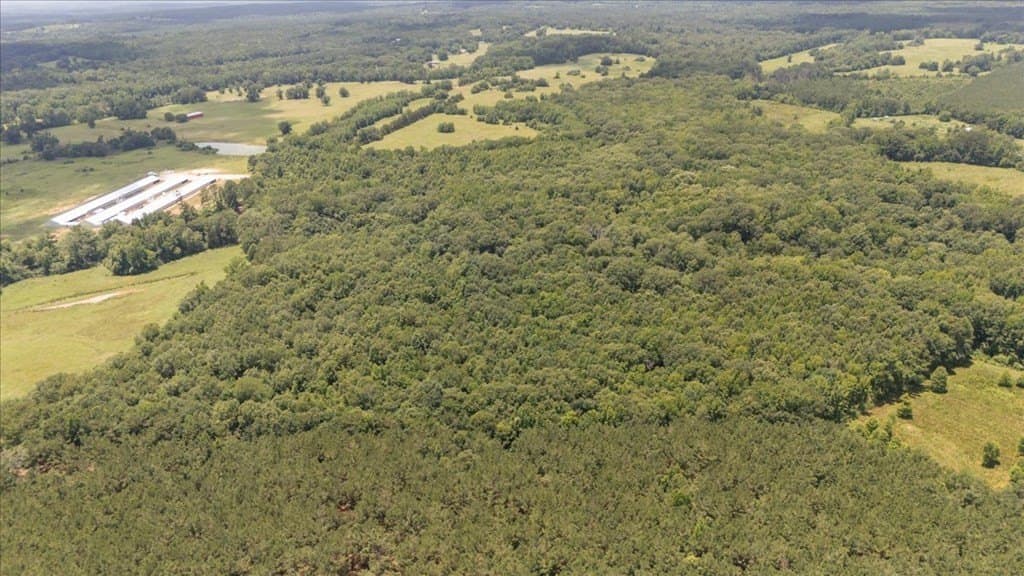 38.11 acres in Texas County gallery image 3
