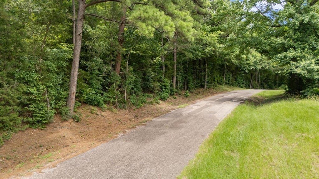 38.11 acres in Texas County - photo 6