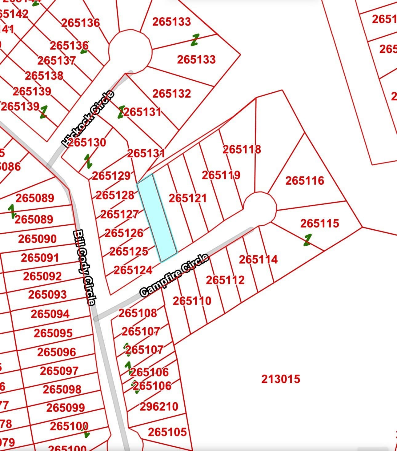 0.24 acres in Henderson County - photo 10