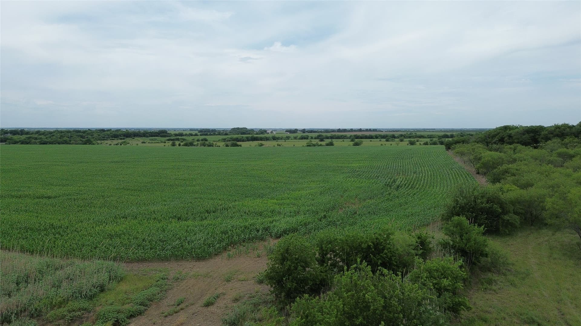 202.36 acres in Hill County - photo 31