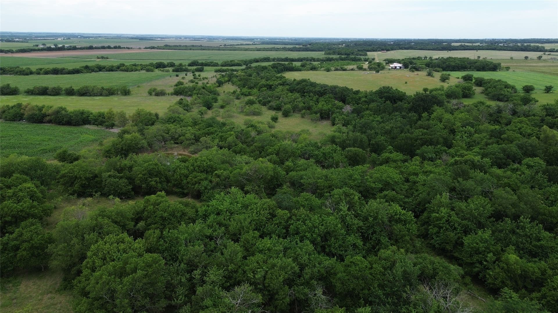 202.36 acres in Hill County - photo 12