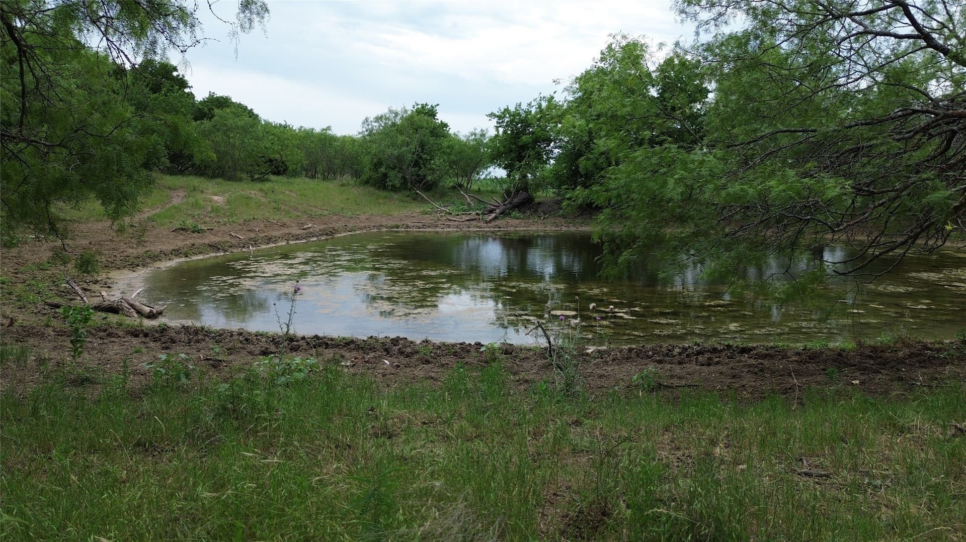 202.36 acres in Hill County - photo 7