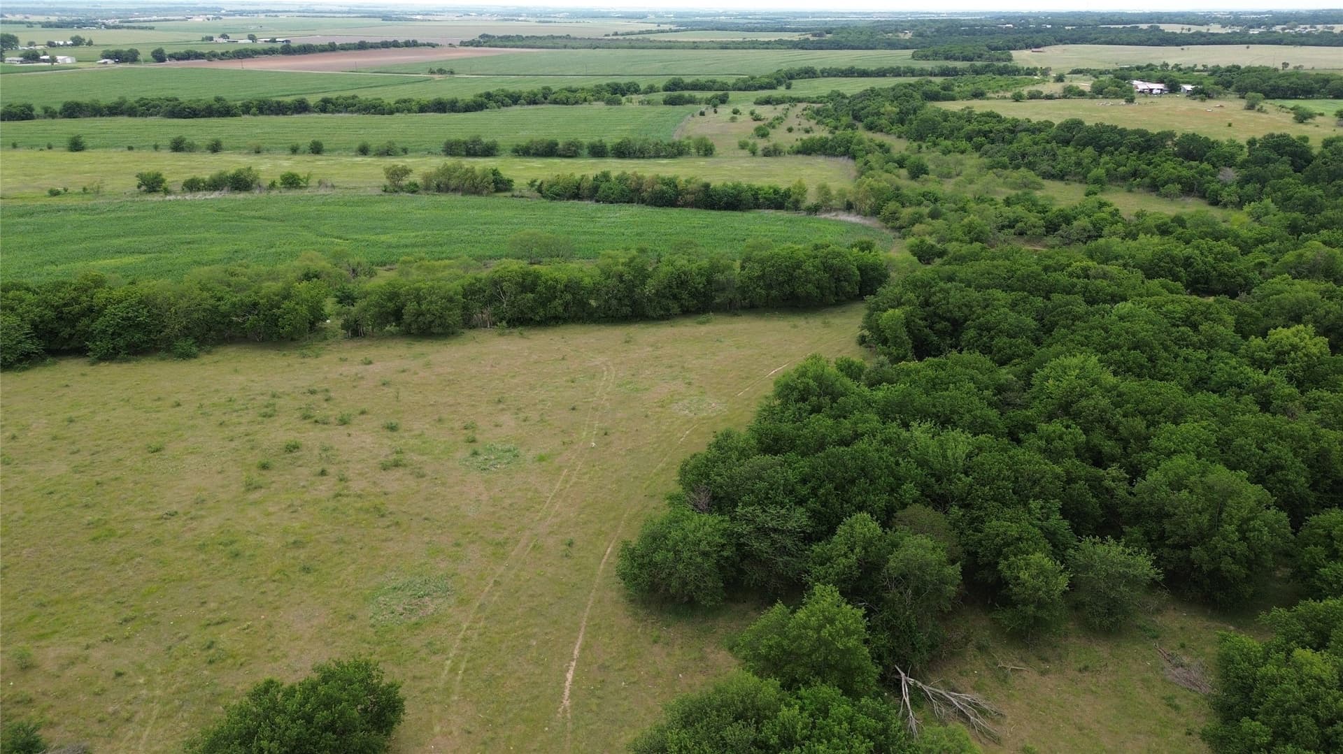 202.36 acres in Hill County - photo 25