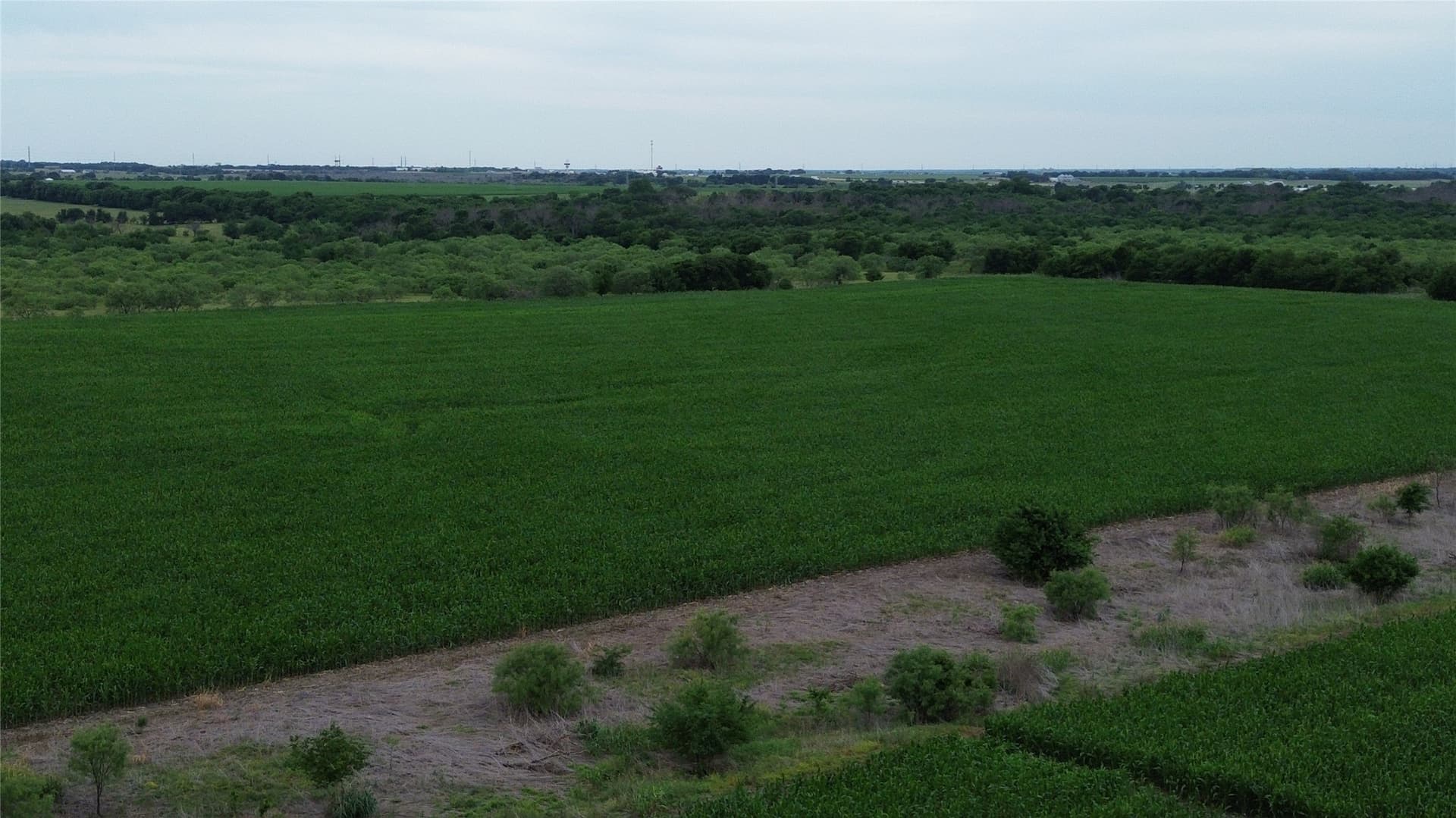 202.36 acres in Hill County - photo 29