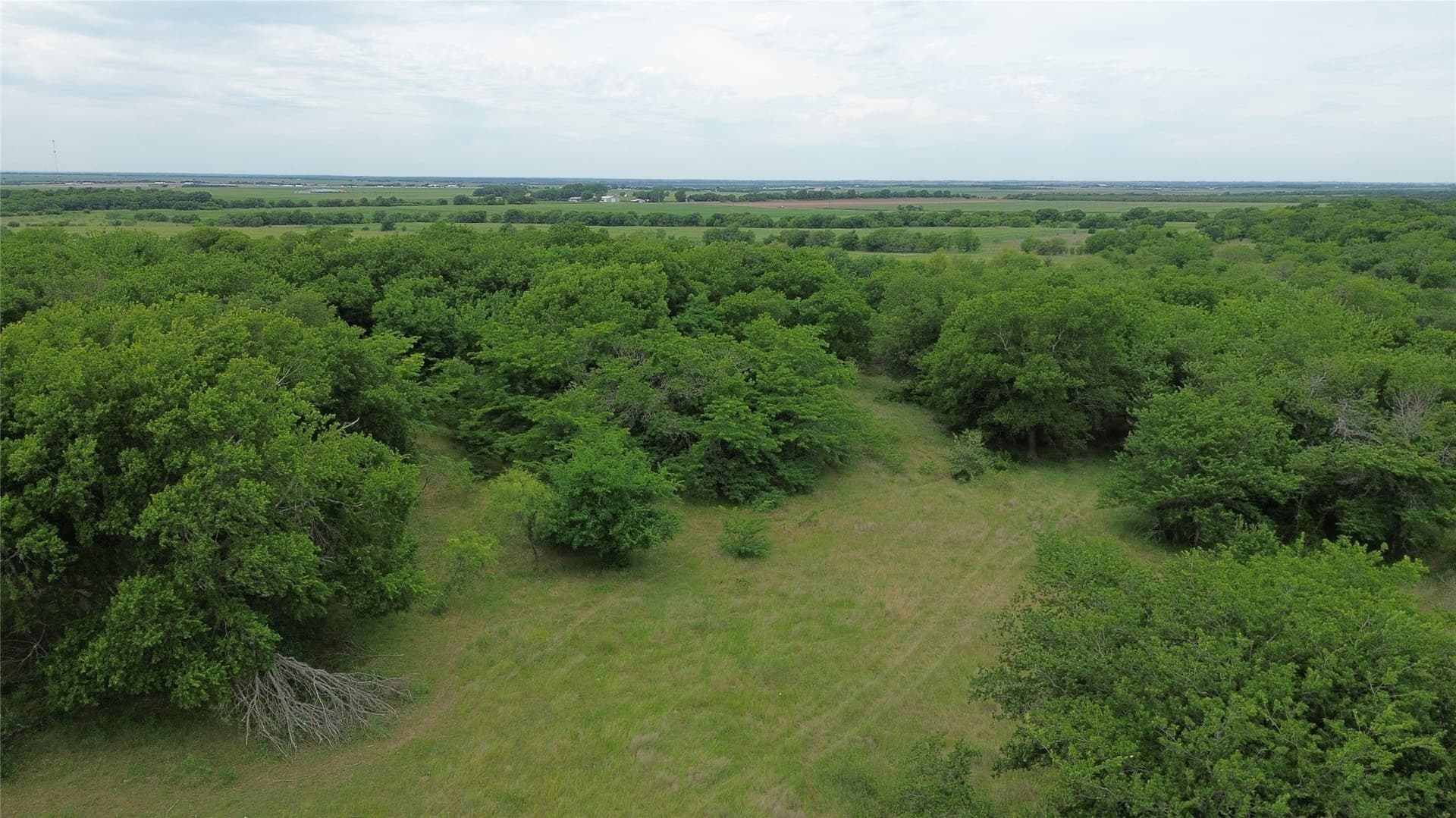 202.36 acres in Hill County - photo 11