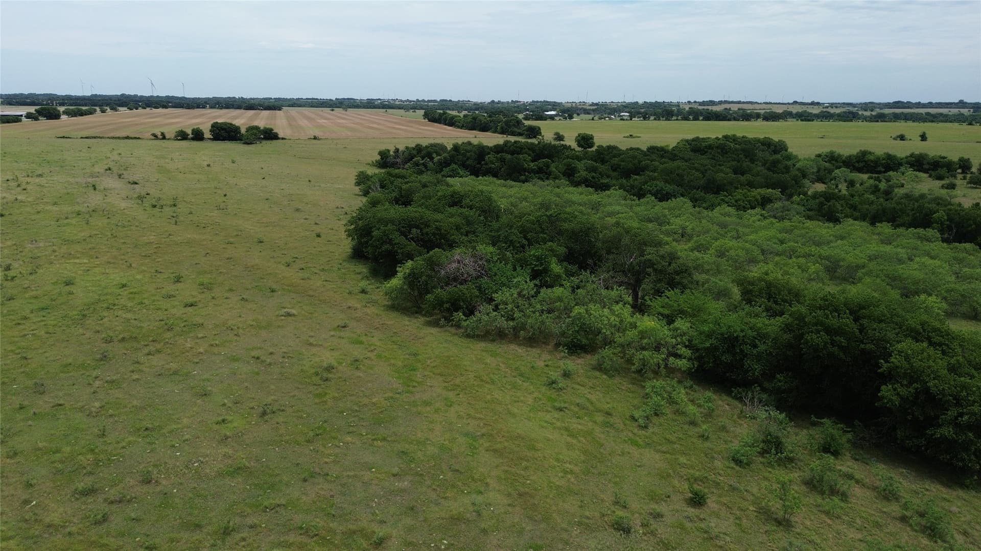 202.36 acres in Hill County - photo 20
