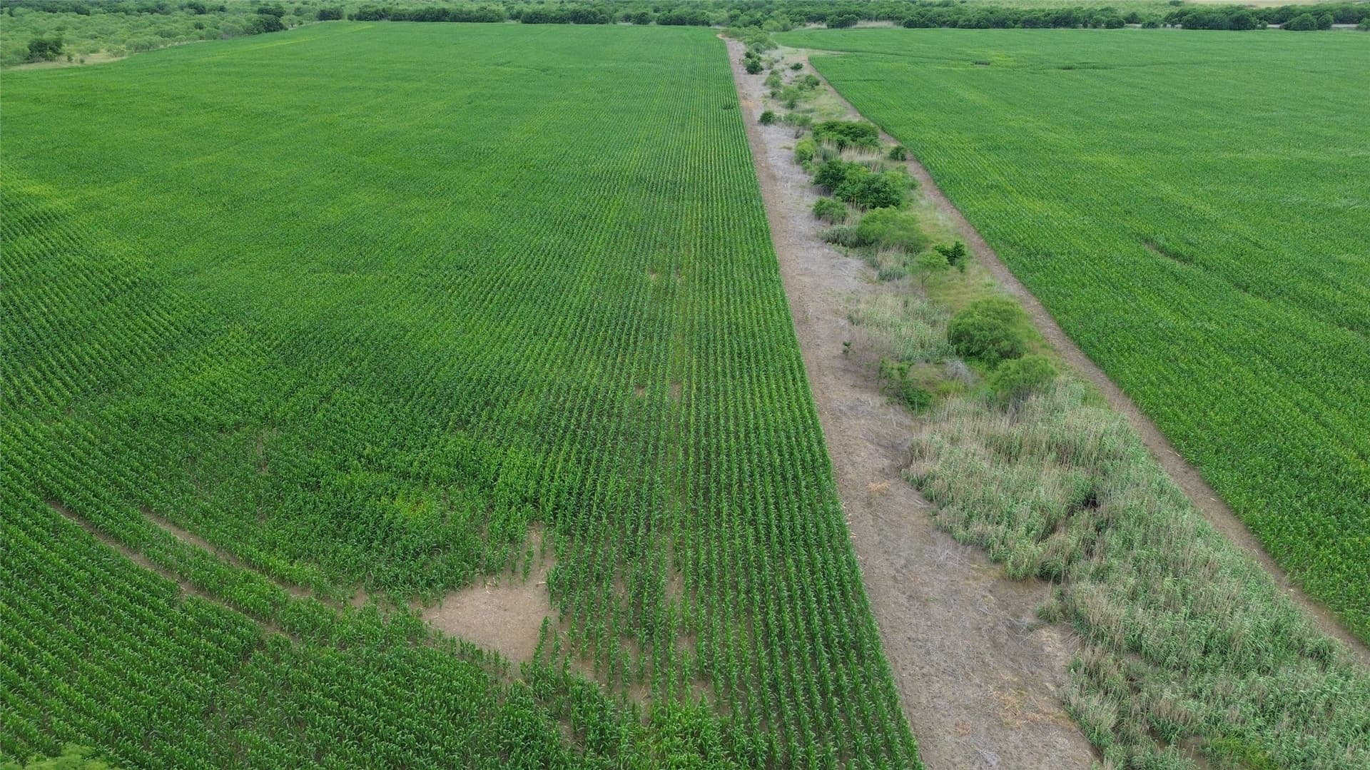 202.36 acres in Hill County - photo 30