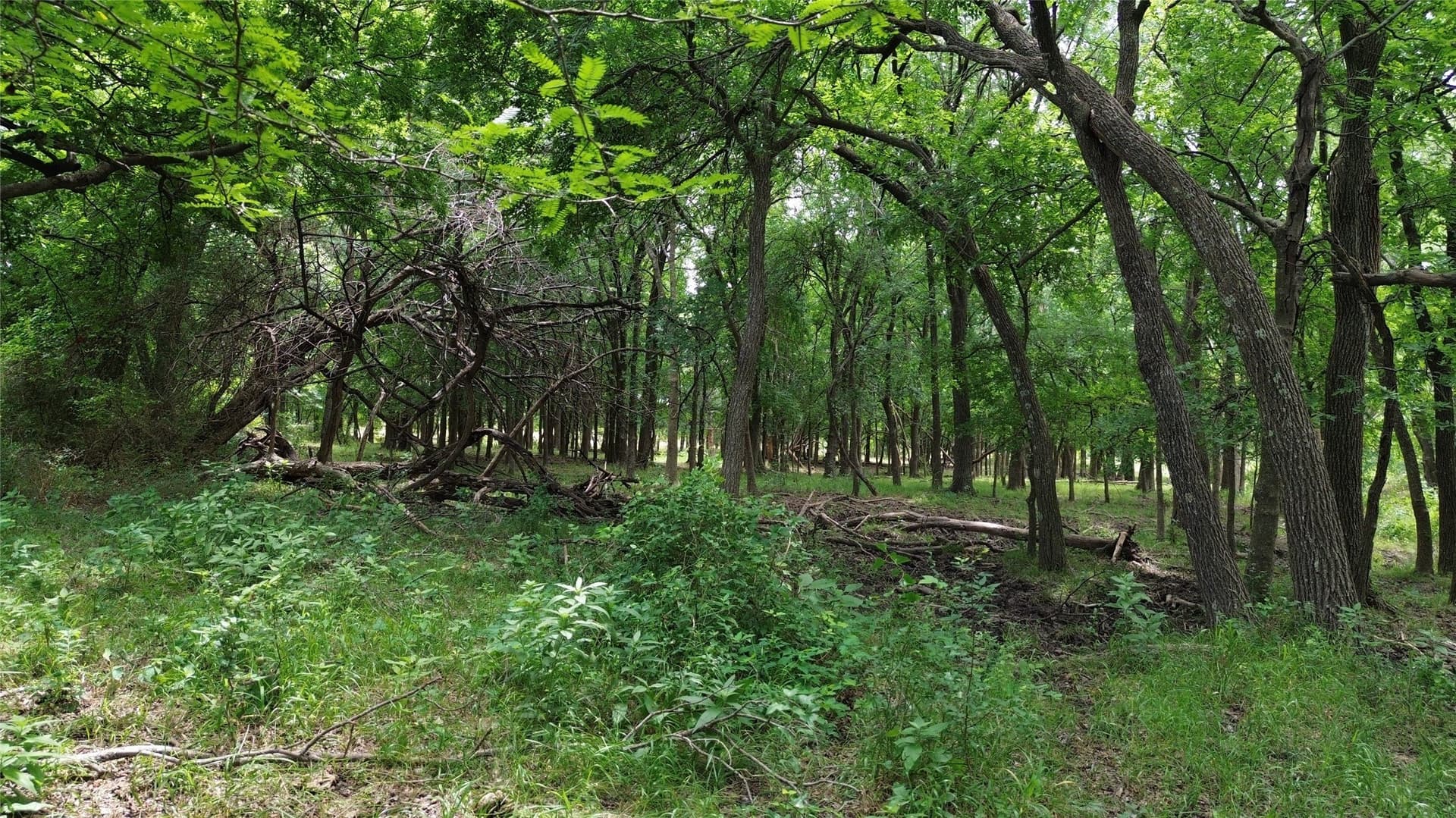 202.36 acres in Hill County - photo 13