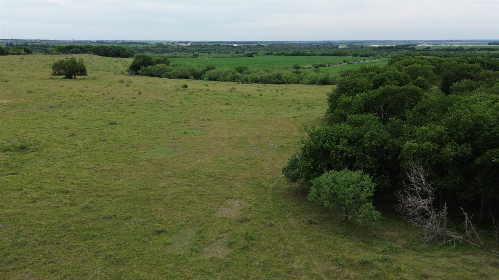 202.36 acres in Hill County - photo 10