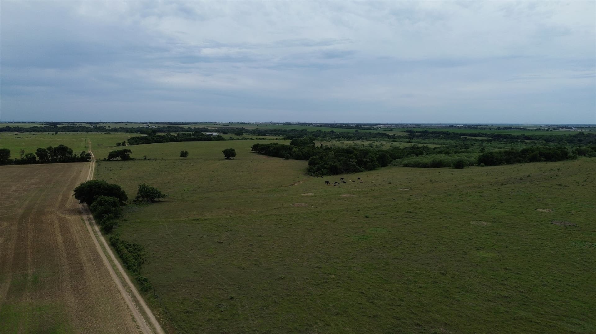 202.36 acres in Hill County - photo 3
