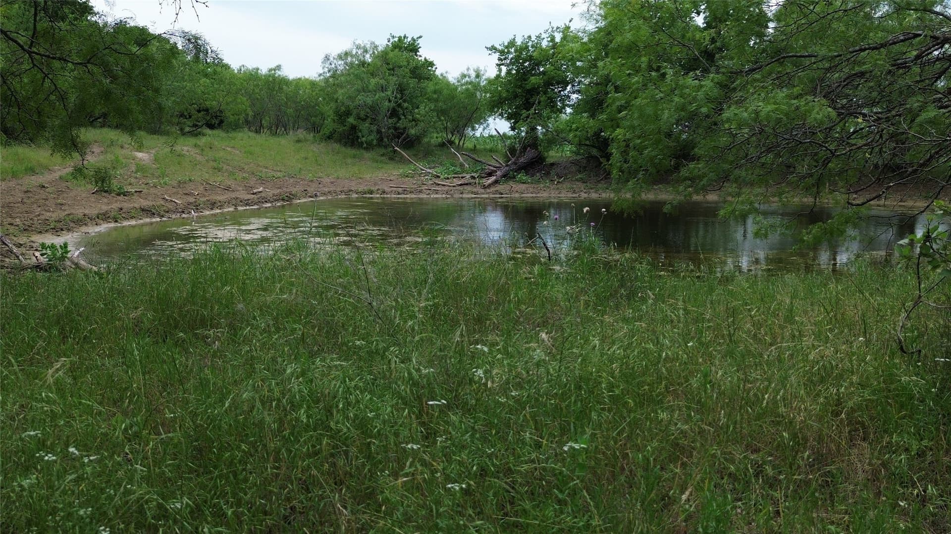 202.36 acres in Hill County