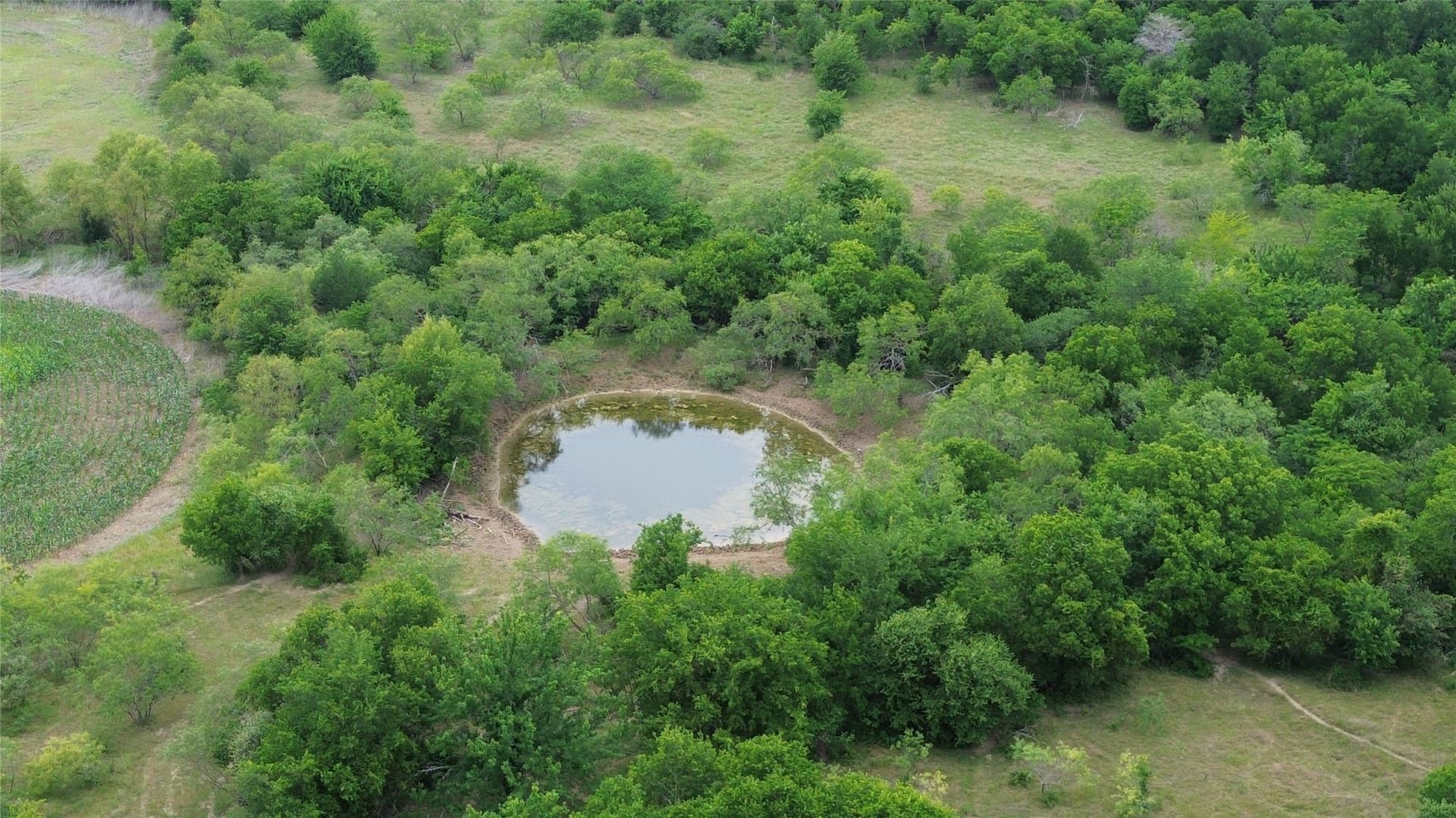 202.36 acres in Hill County - photo 23