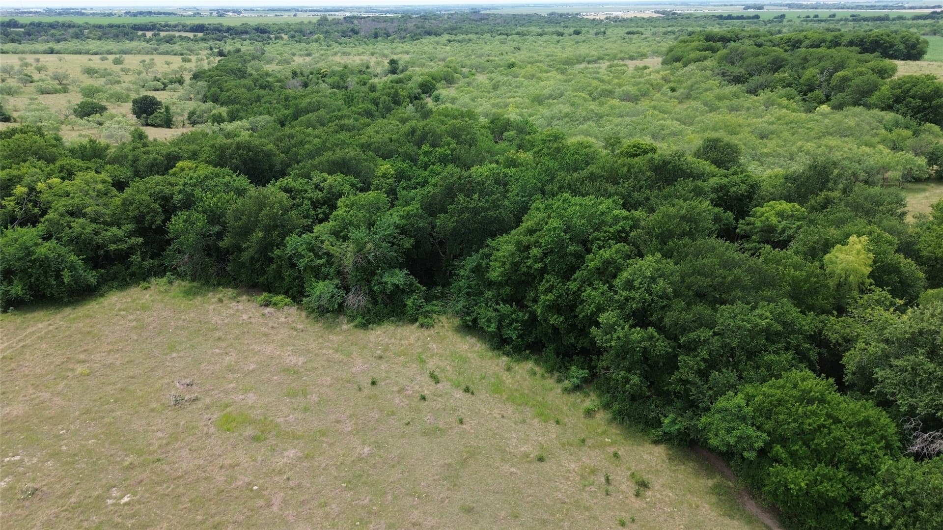 202.36 acres in Hill County - photo 16