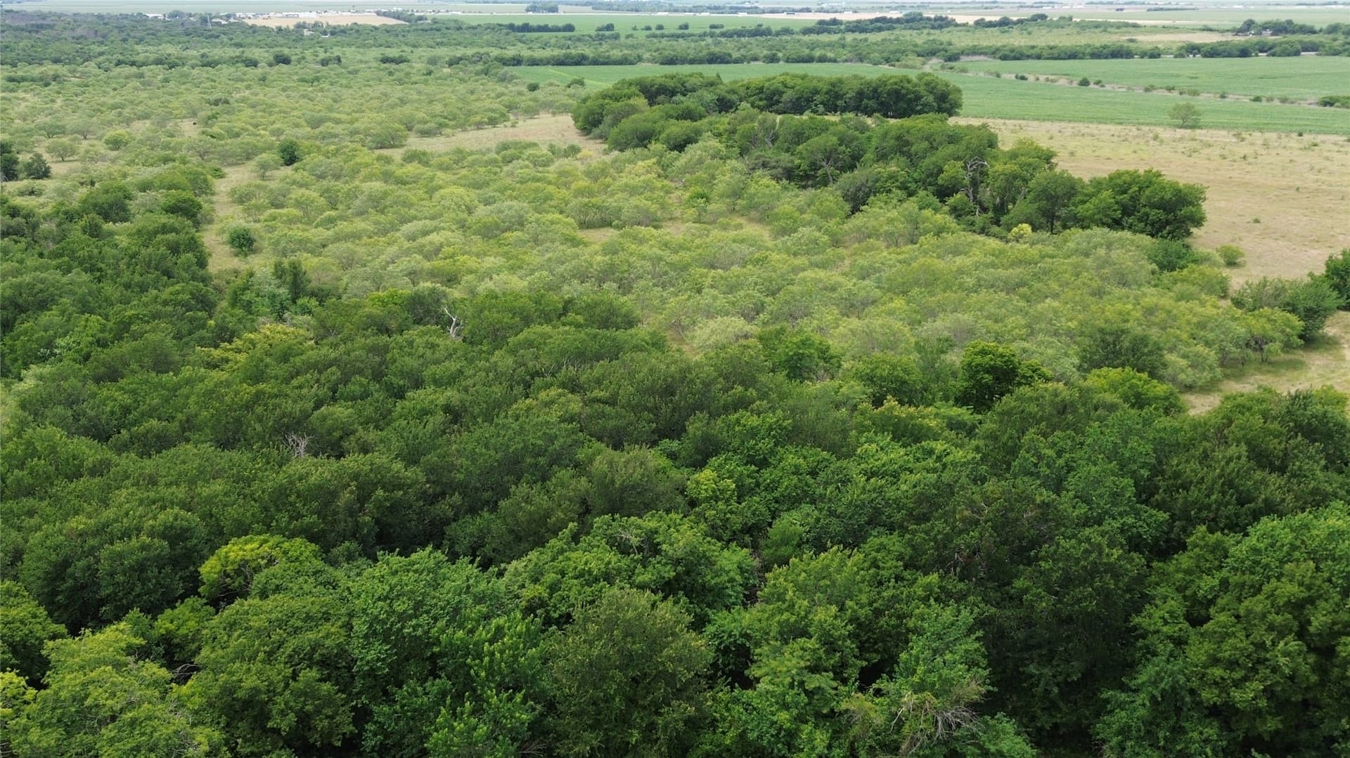 202.36 acres in Hill County - photo 15