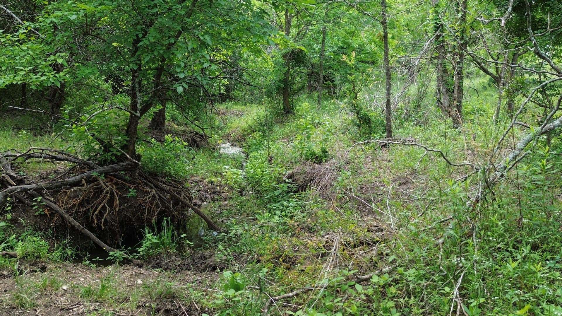 202.36 acres in Hill County - photo 8
