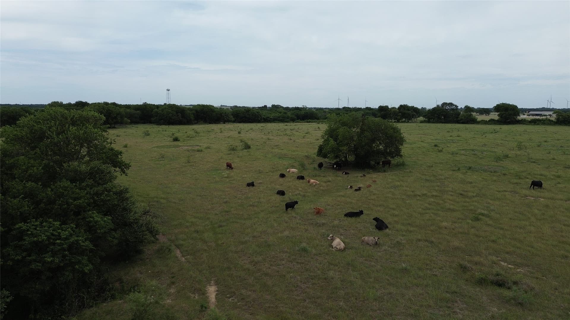 202.36 acres in Hill County - photo 27