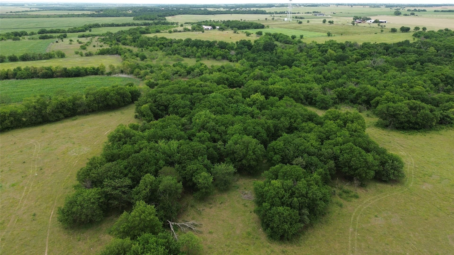 202.36 acres in Hill County - photo 33