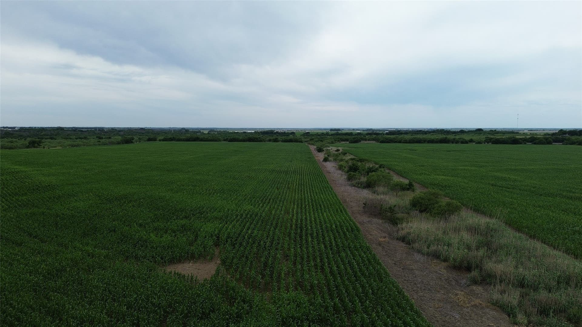 202.36 acres in Hill County - photo 32