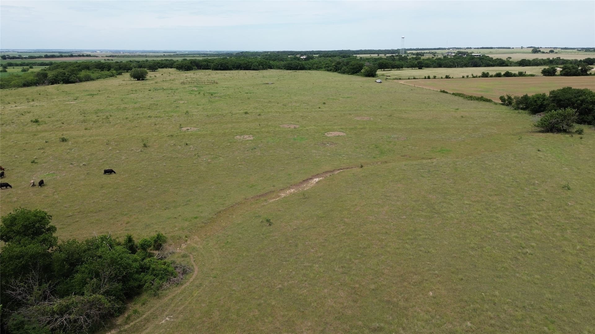 202.36 acres in Hill County - photo 17