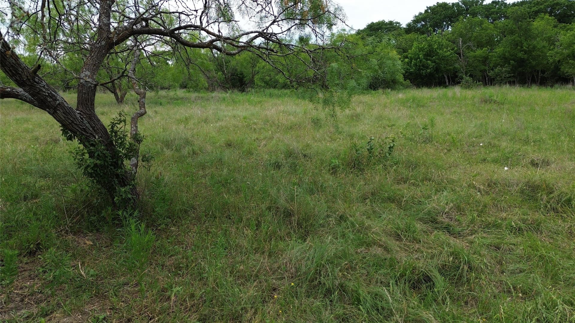 202.36 acres in Hill County - photo 9