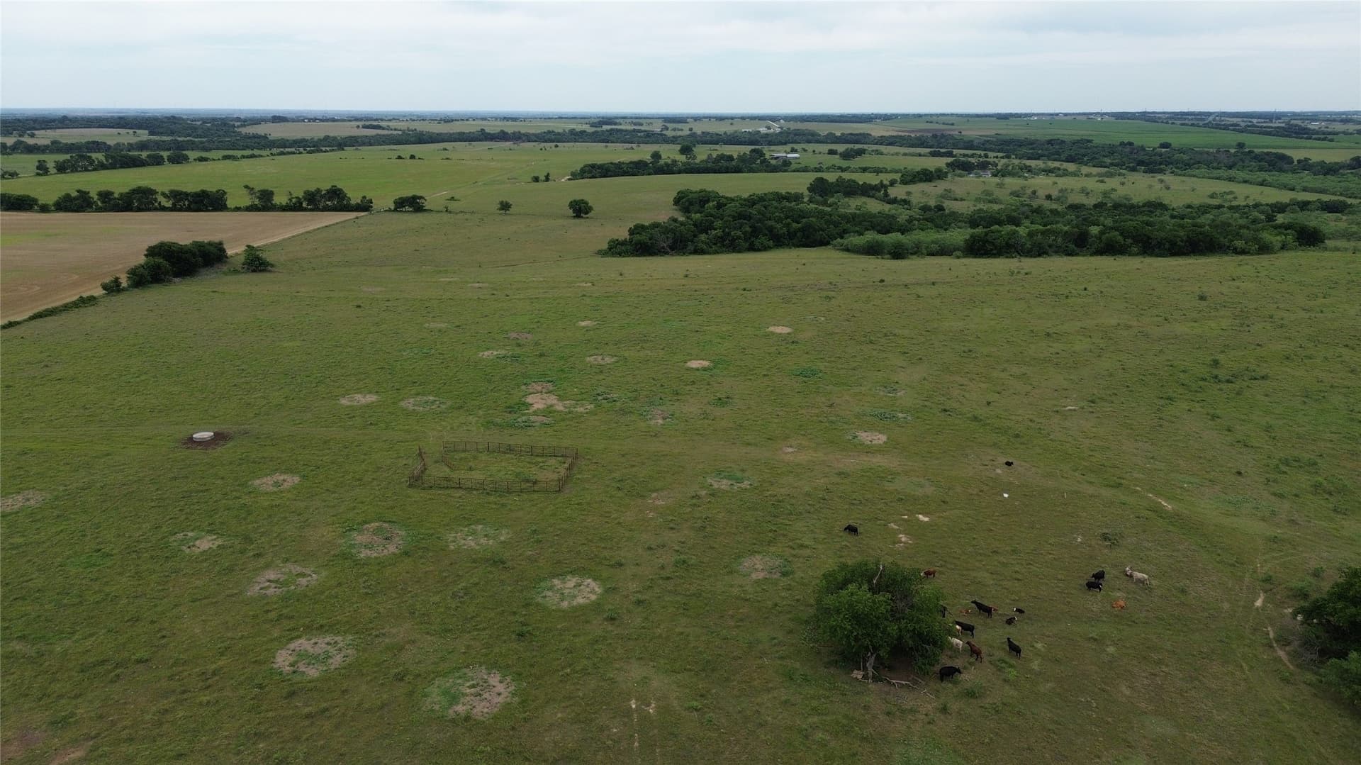 202.36 acres in Hill County - photo 24