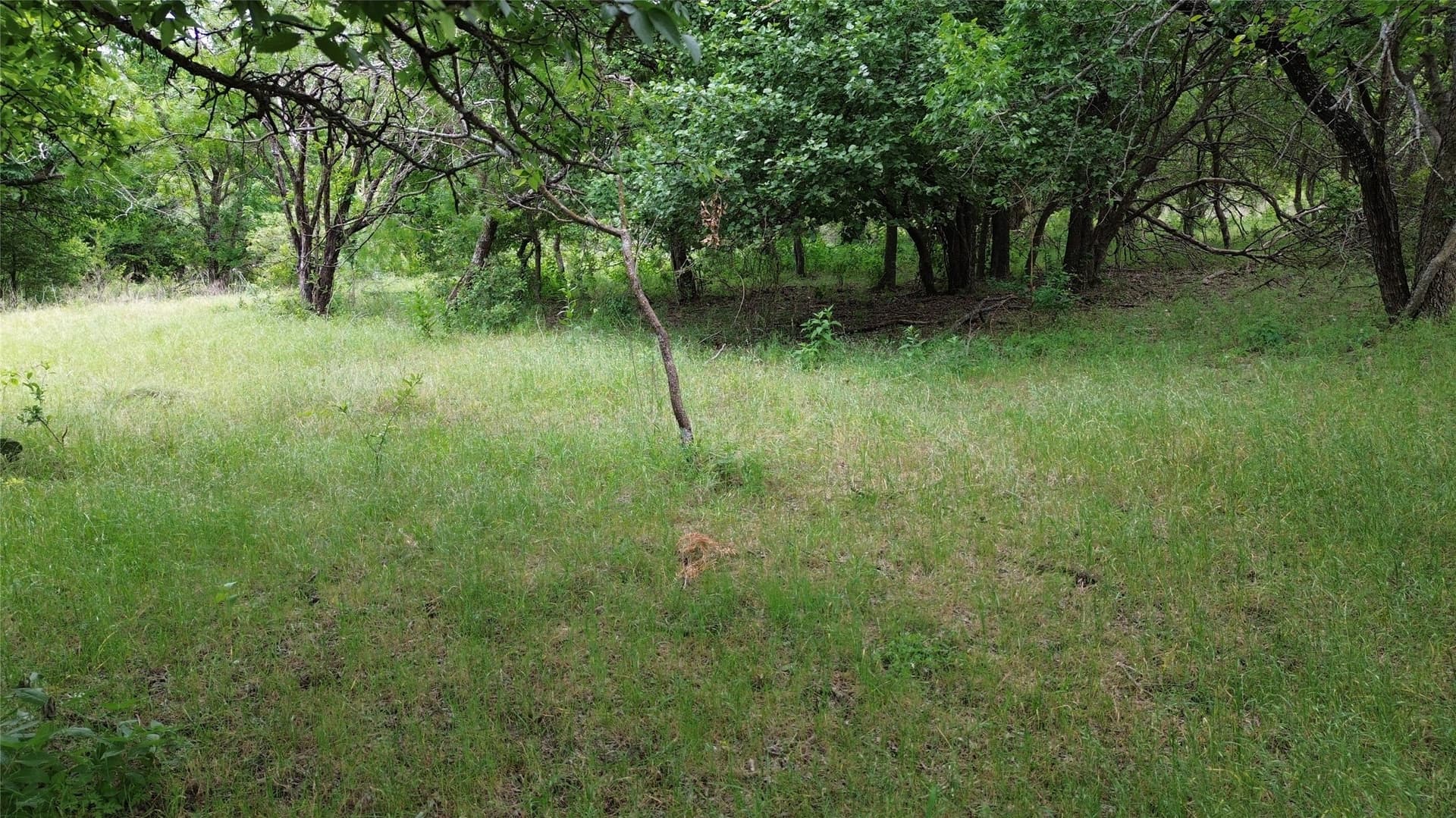 202.36 acres in Hill County - photo 6