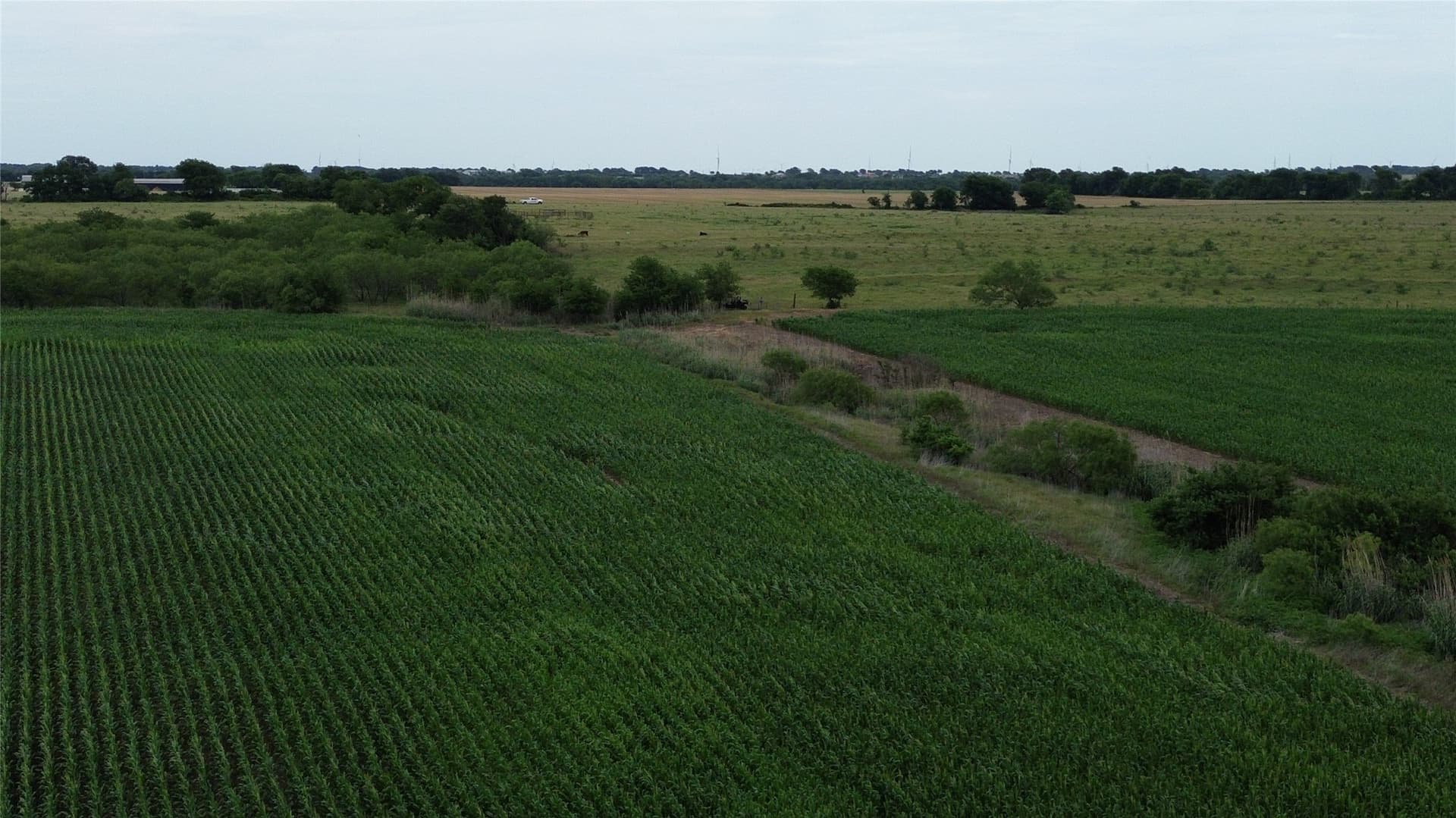 202.36 acres in Hill County - photo 28