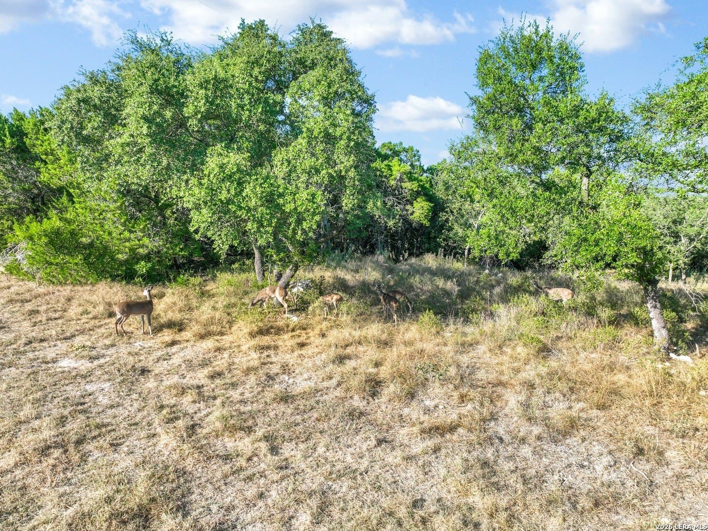 0.27 acres in Comal County - photo 7