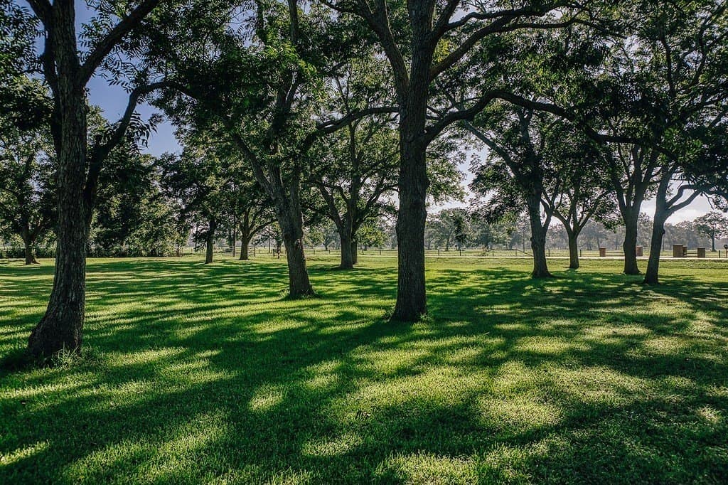 2.23 acres in Wharton County - photo 4