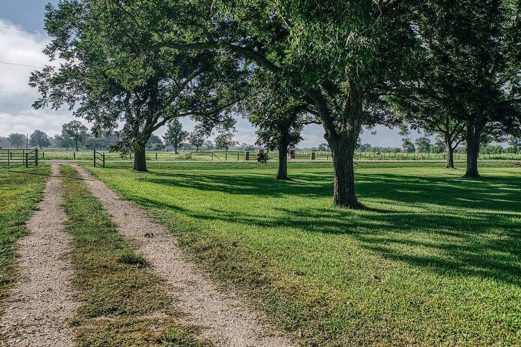 2.23 acres in Wharton County - photo 29