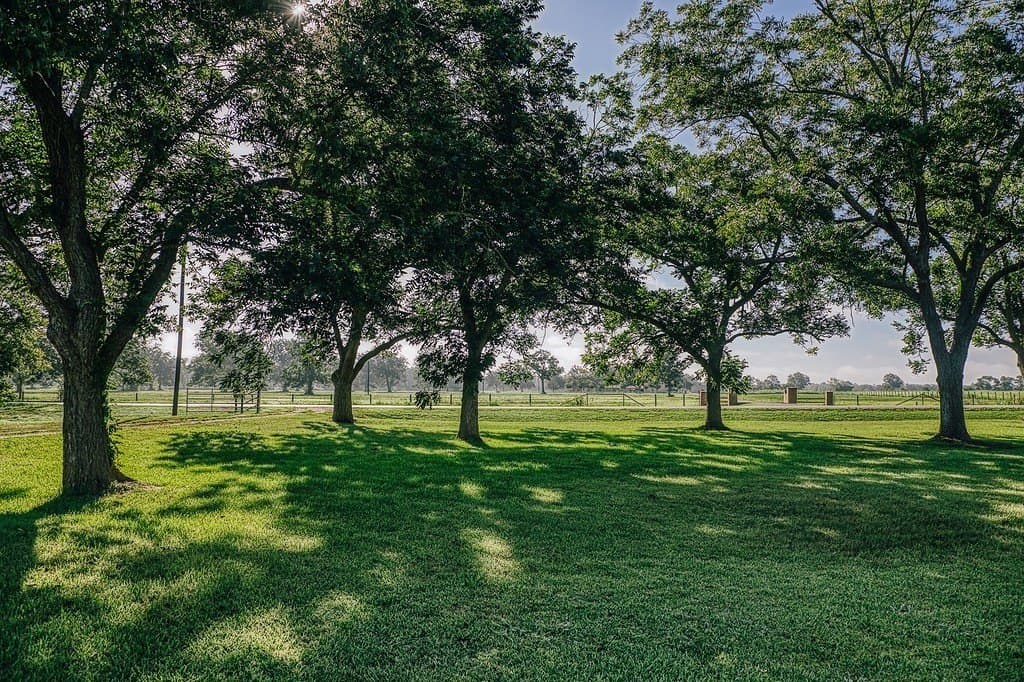 2.23 acres in Wharton County - photo 5