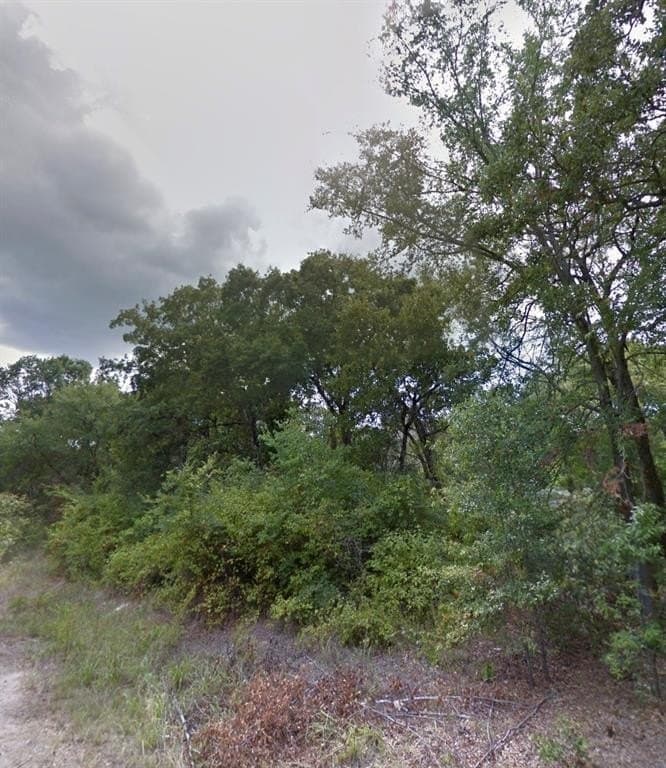 0.12 acres in Henderson County gallery image 4