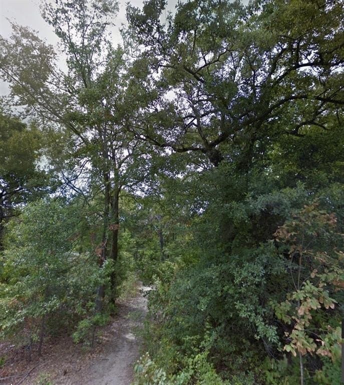 0.12 acres in Henderson County featured view