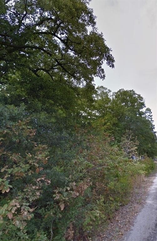 0.12 acres in Henderson County gallery image 3