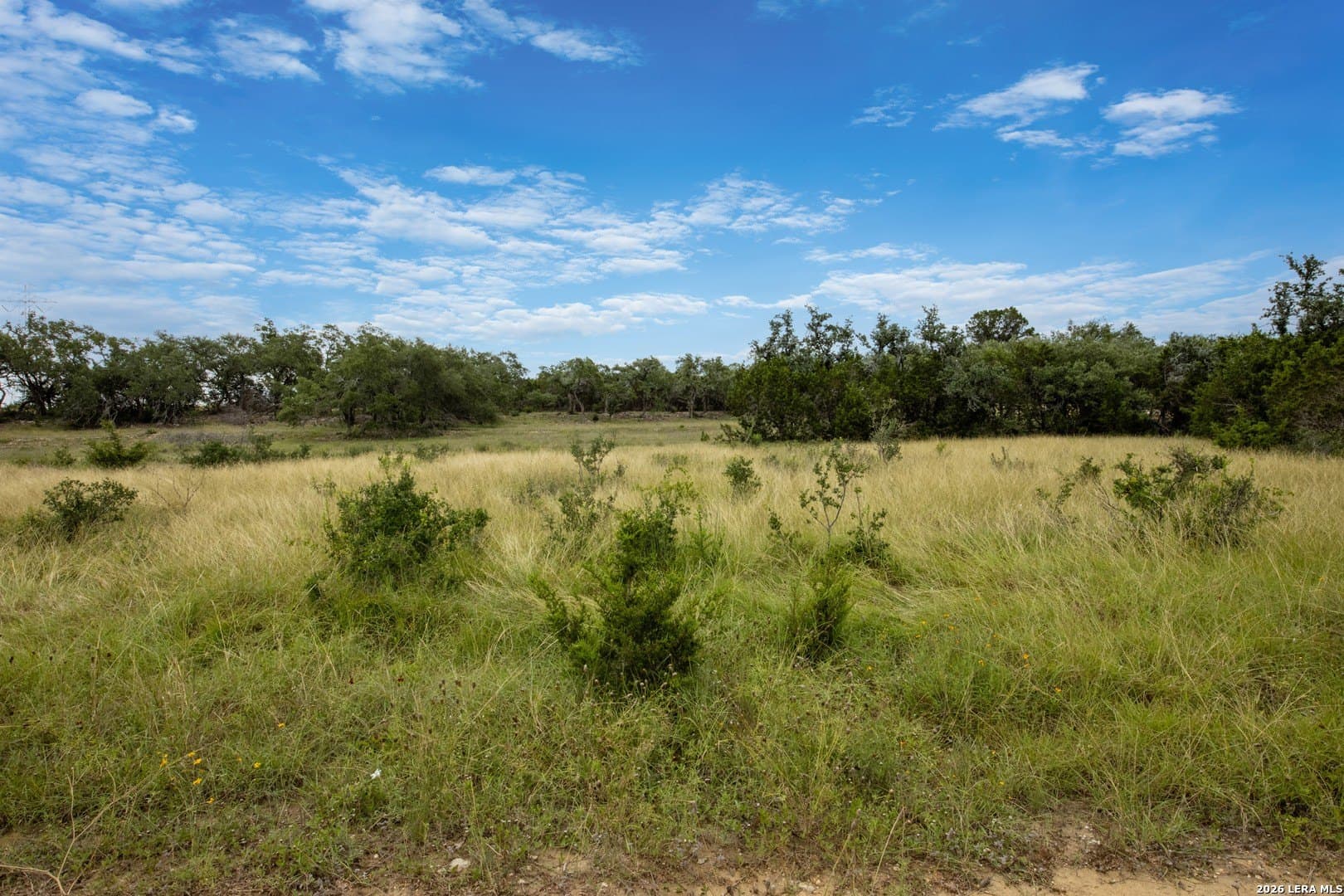 1.08 acres in Comal County gallery image 2