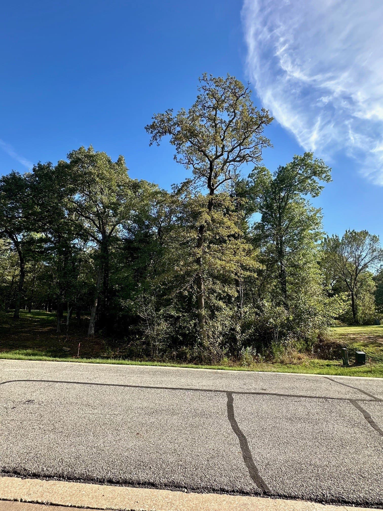 0.19 acres in Grayson County - photo 4