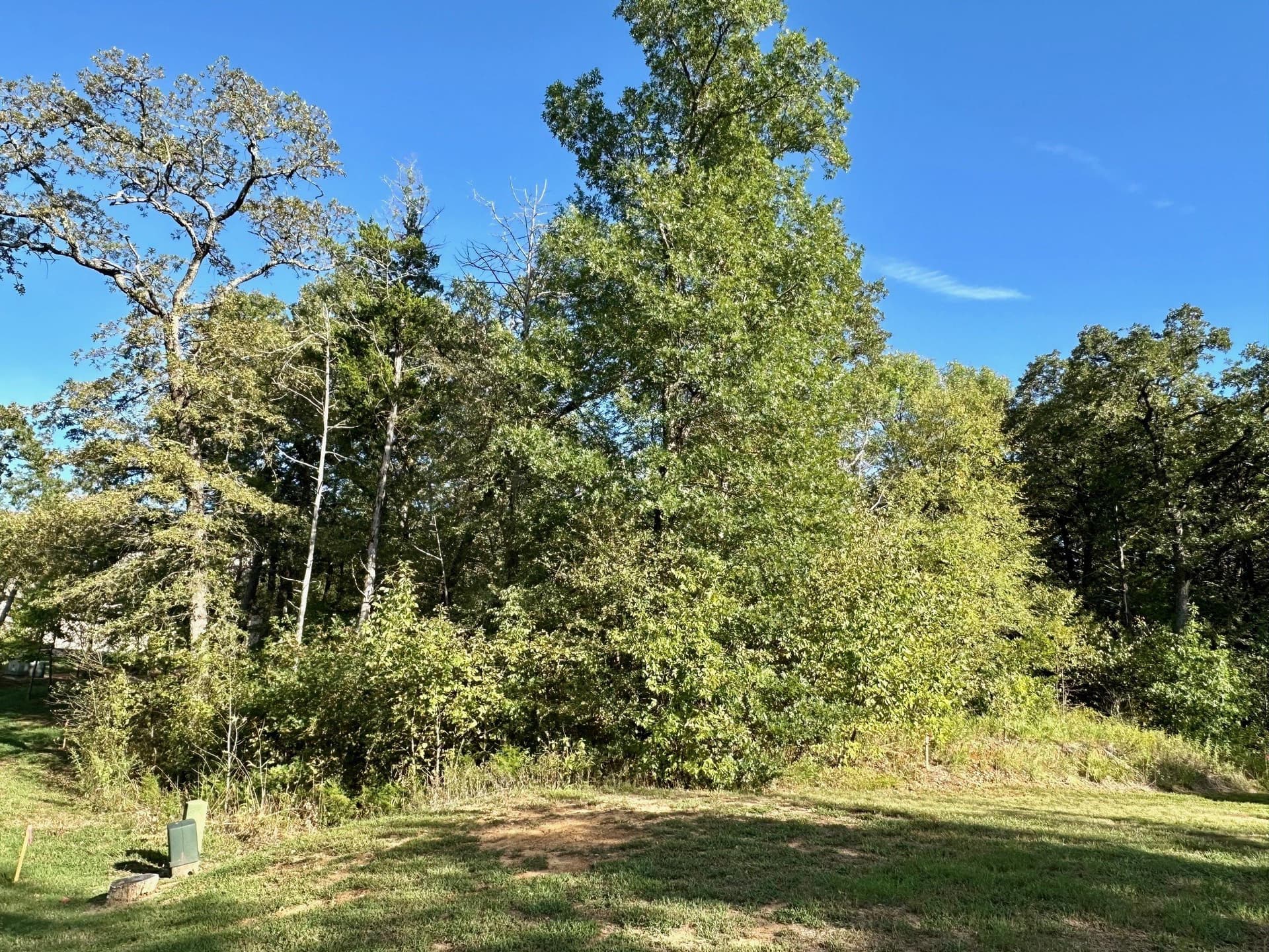 0.19 acres in Grayson County - photo 3