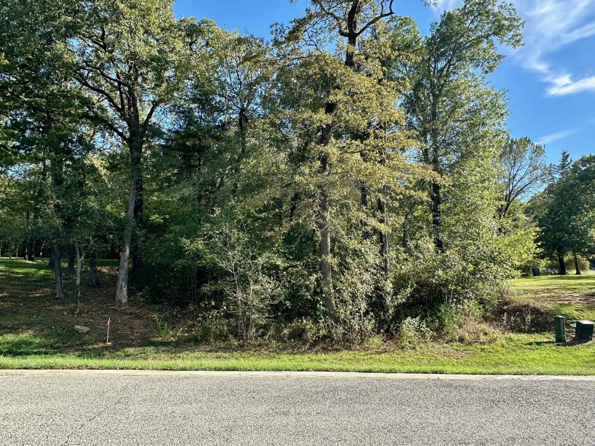 0.19 acres in Grayson County - photo 2
