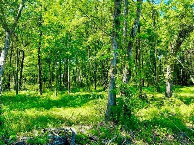 1.03 acres in Texas County gallery image 2