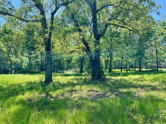 1.03 acres in Texas County featured view