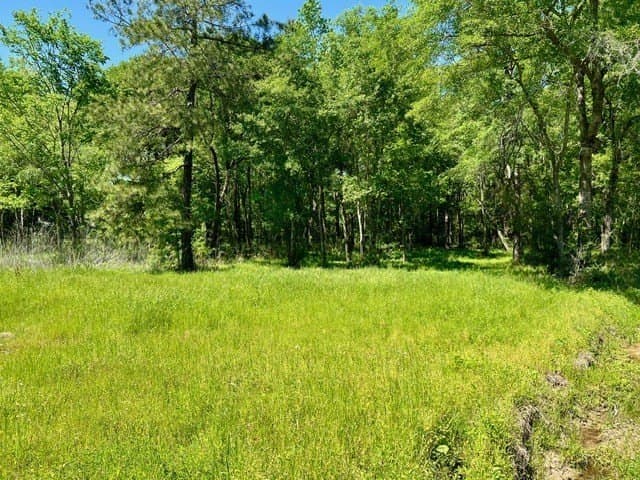 1.03 acres in Texas County gallery image 3