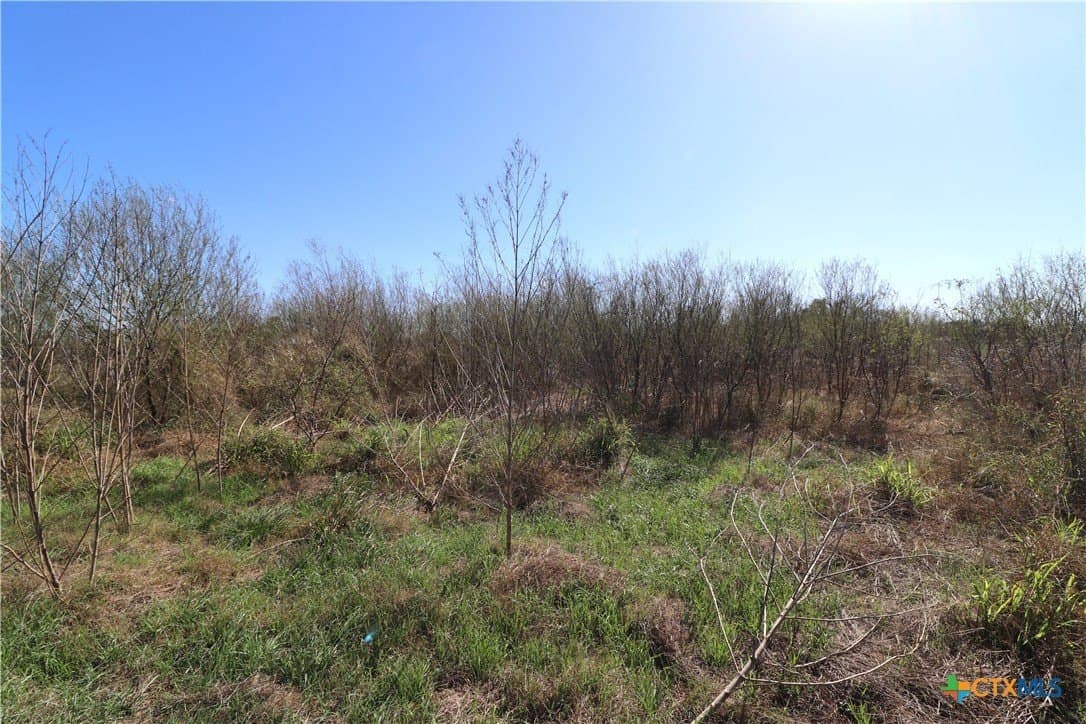 1.11 acres in Goliad County - photo 24