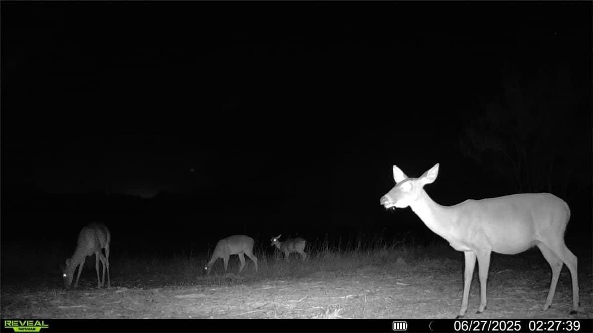 100 acres in La Salle County gallery image 4