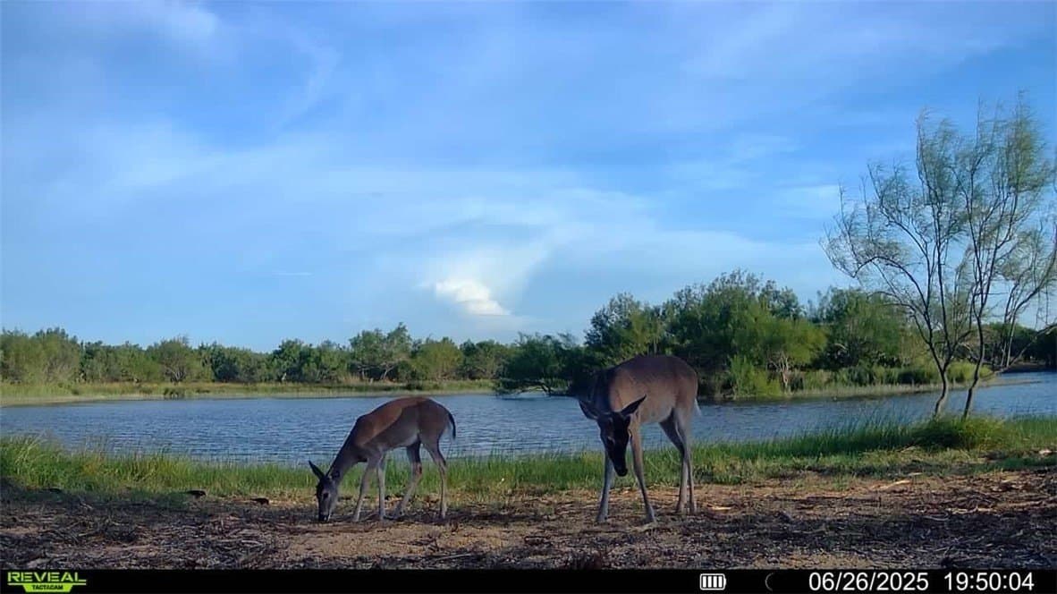 100 acres in La Salle County gallery image 2