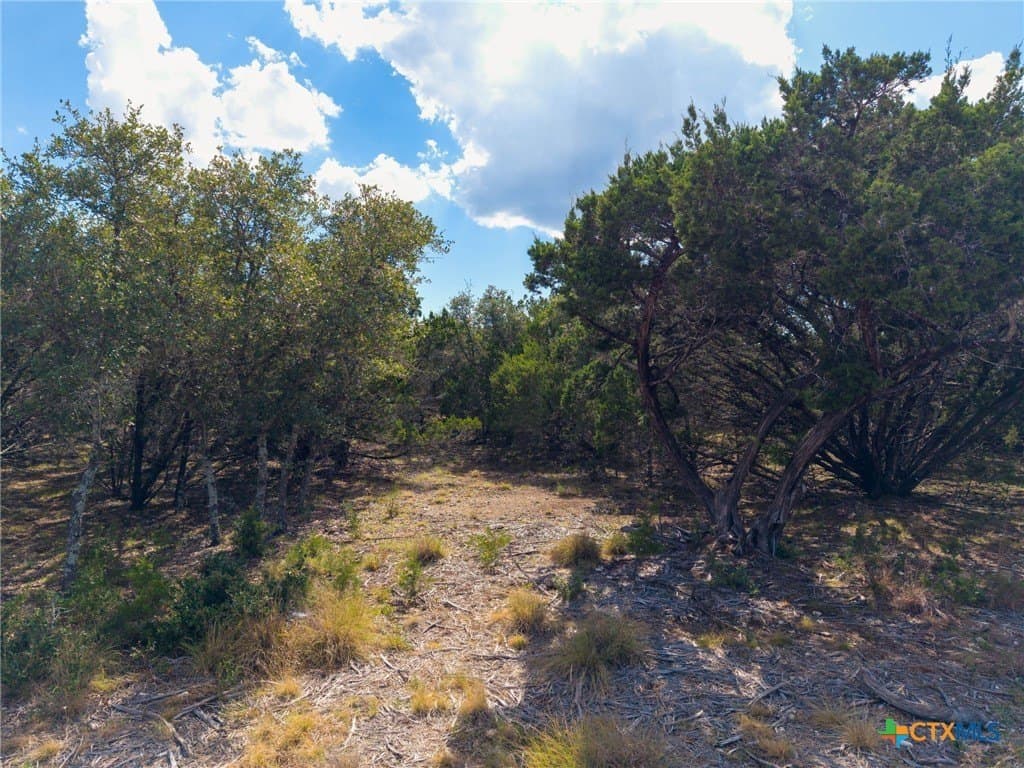 10.19 acres in Burnet County - photo 7