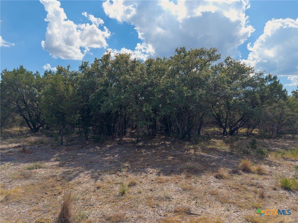 10.19 acres in Burnet County - photo 14